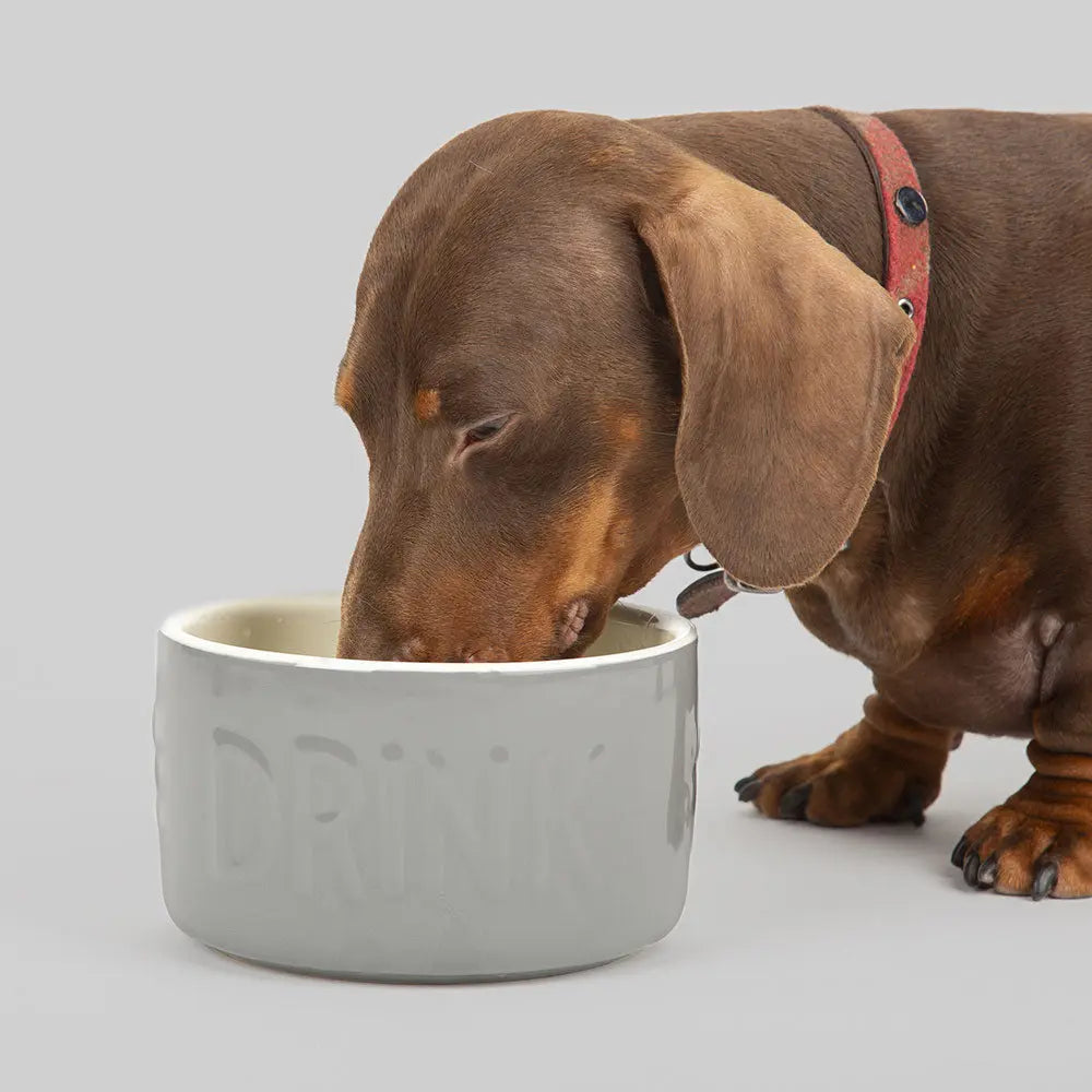 Tilty Bowl Hundenapf, Größe M, Crema – Auslaufsicher, 0,6 Liter, BPA-frei
