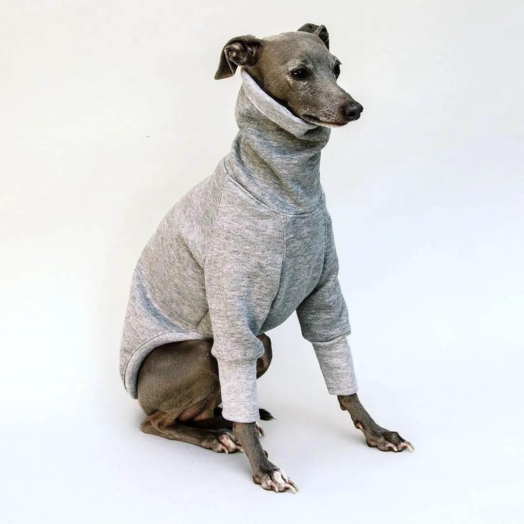 Hunde-Pulli "Winter-Sweater" 4legs.de