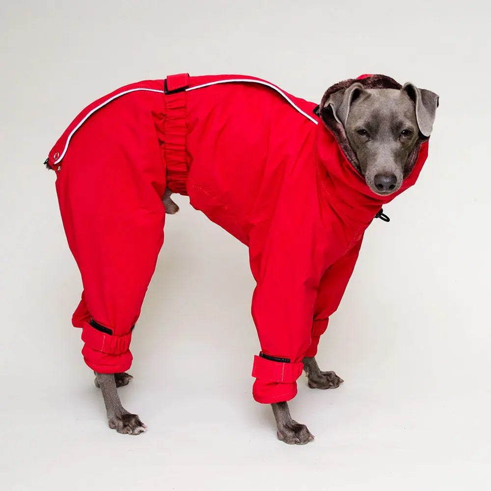 Kelly IG Snow winter Hundeoverall red SDW 4legs.de