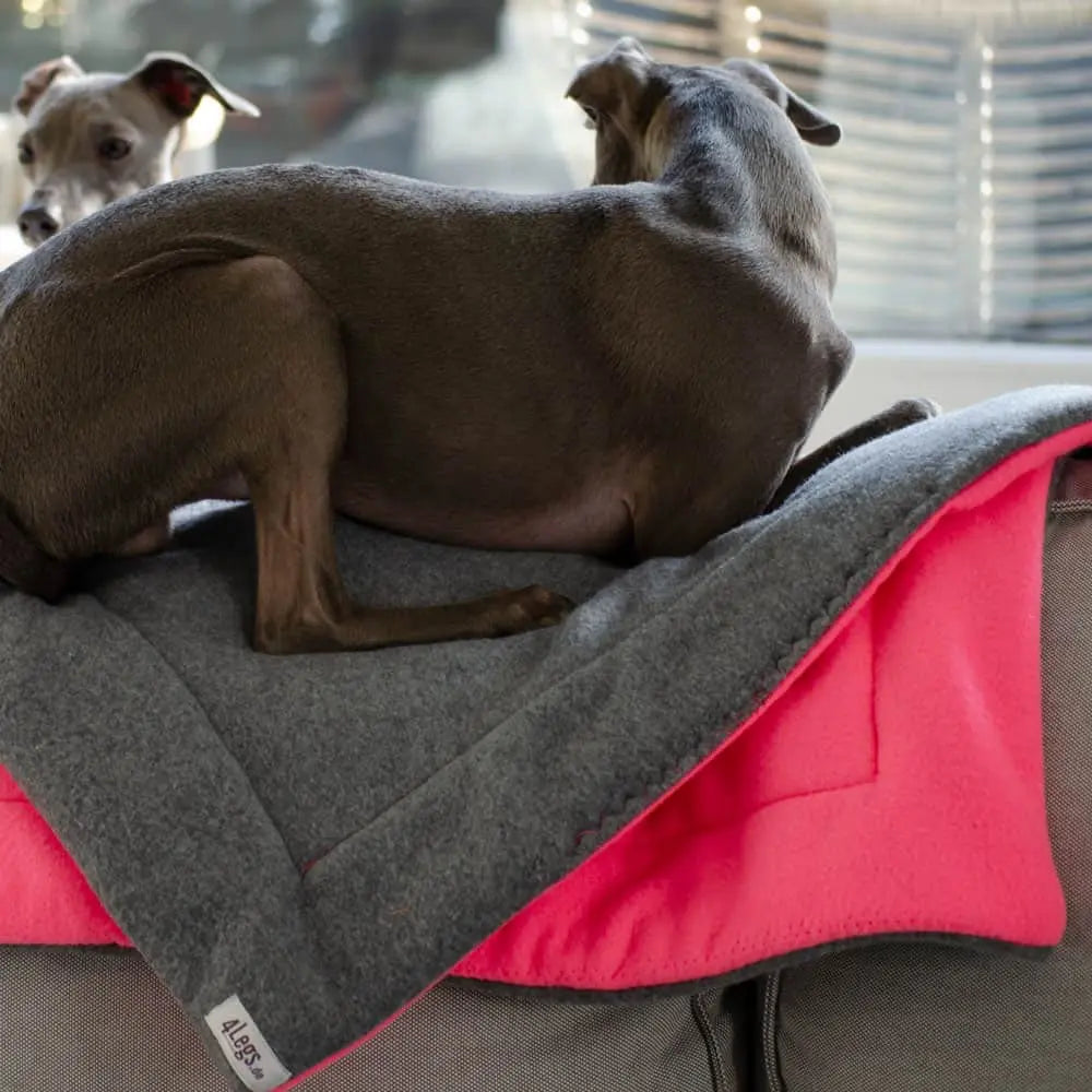 Portable blanket for dogs "pinkgrey" 4legs.de