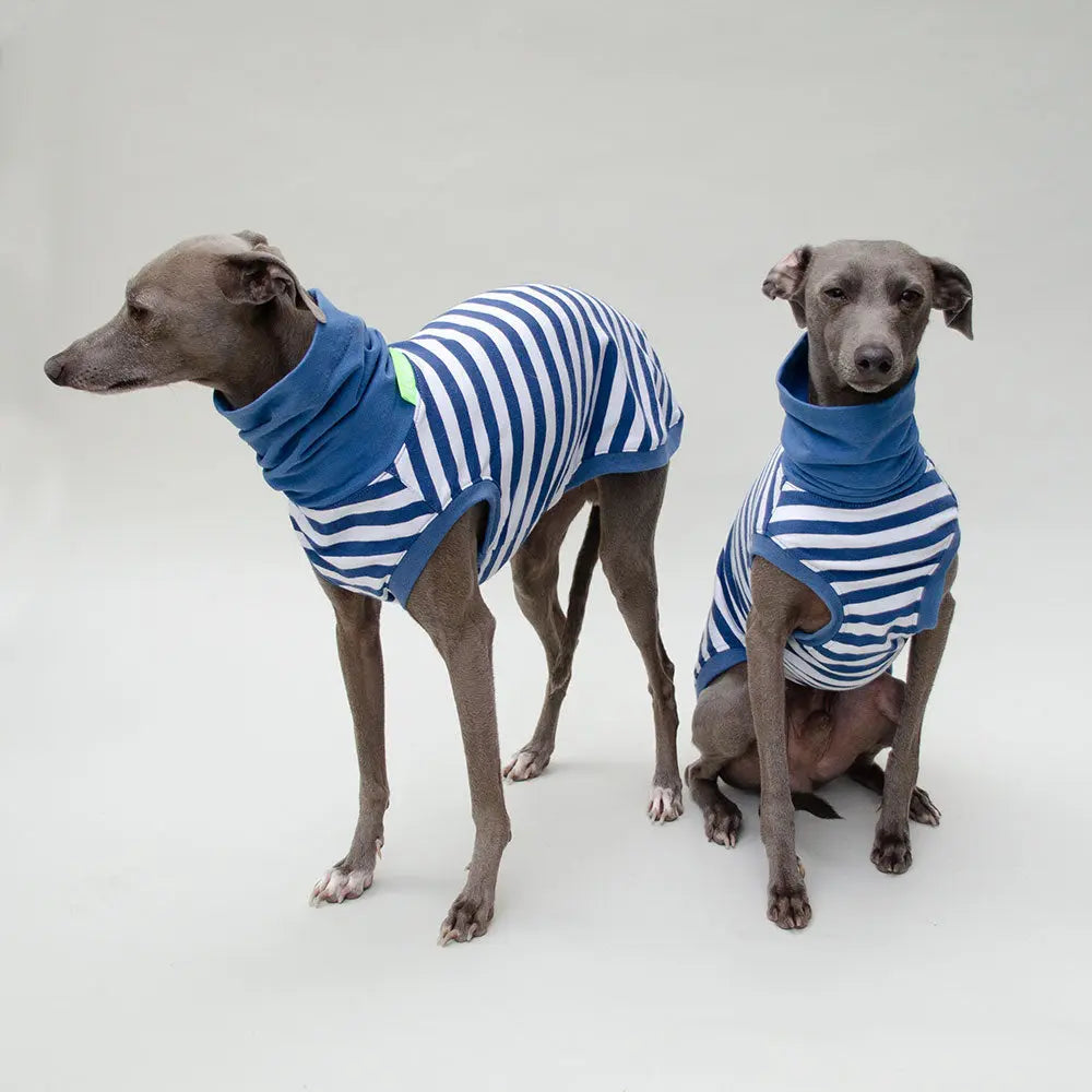 Tshirt für Hunde "DEAUVILLE" graublau-streifen 4legs.de
