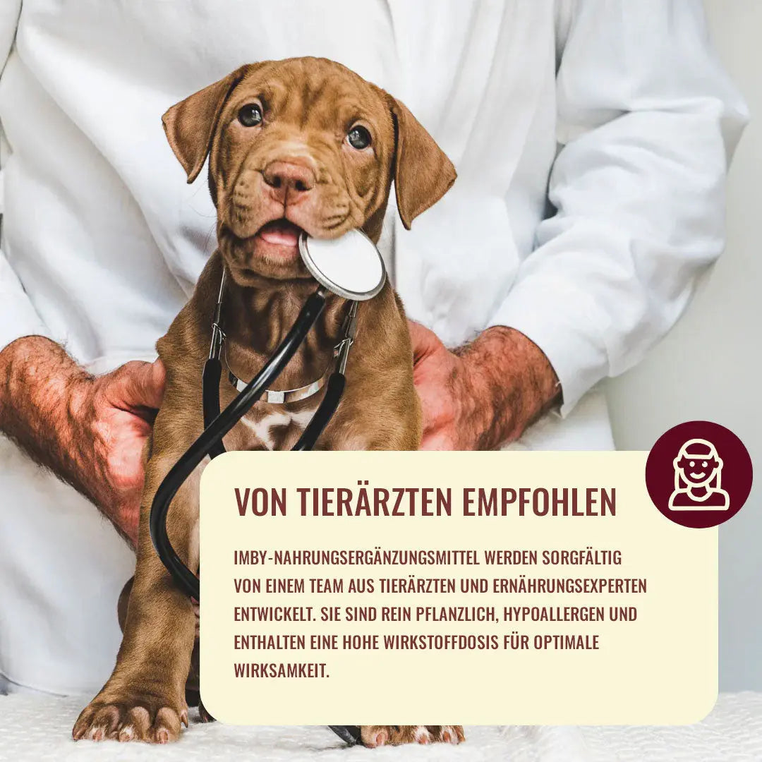 "Allergy&Itch" Ergänzungsfuttermittel für Hunde 4legs.de