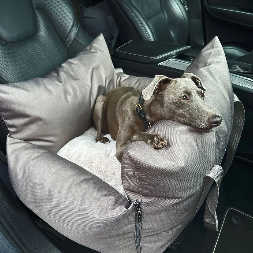 Autositz für Hunde „Travel Deluxe Mini“ – taupe 4legs.de