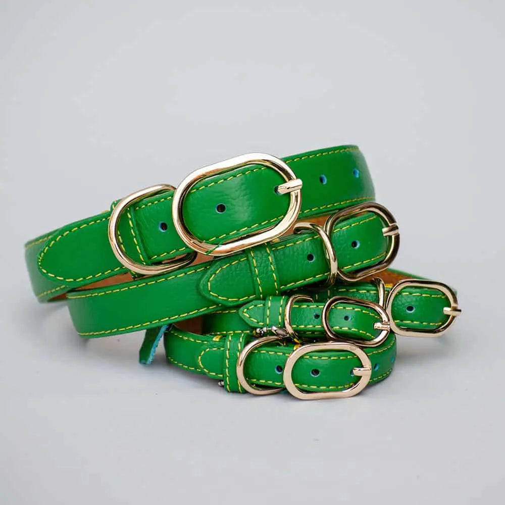Das edle Lederhalsband für 4Beiner „Summer“ bringt mit seinem knalligen grün eine super sommerliche Laune!