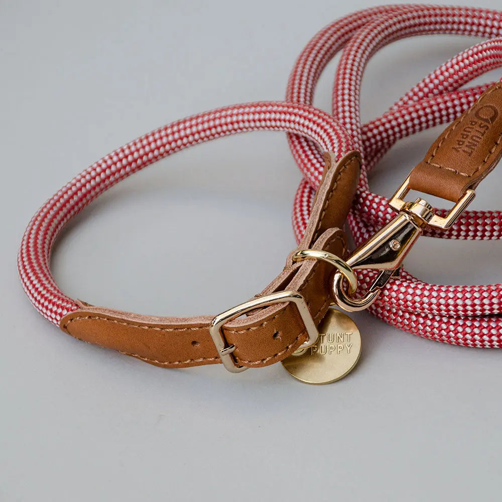 The robust collar