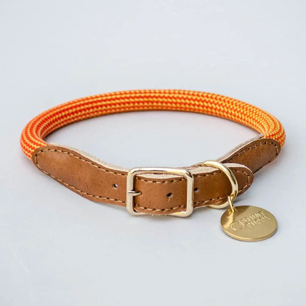 Das robuste Hundehalsband "Mountain" - orange 4legs.de