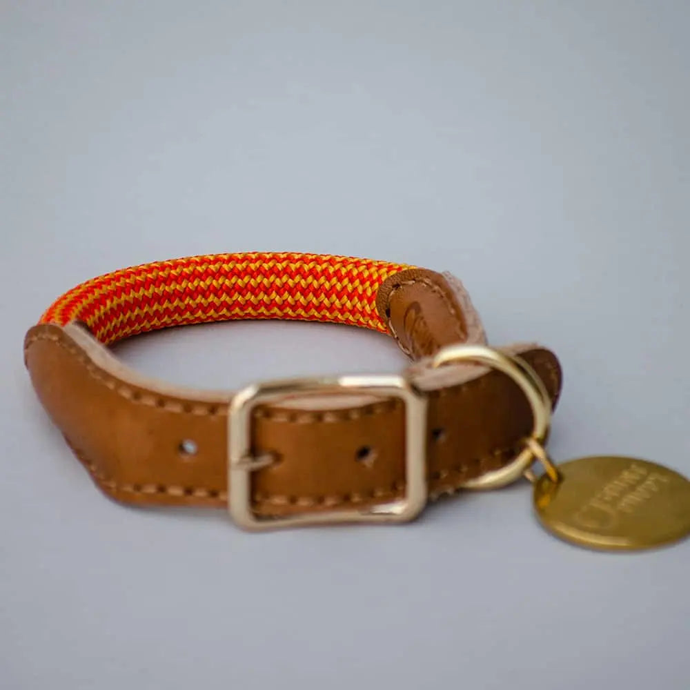 Das robuste Hundehalsband "Mountain" - orange 4legs.de