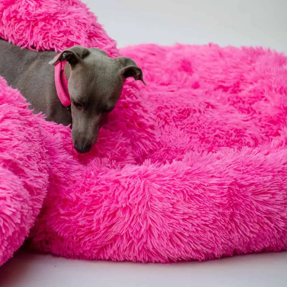 Das runde Hundebett „Pink Pouf Supersoft“ 4legs.de