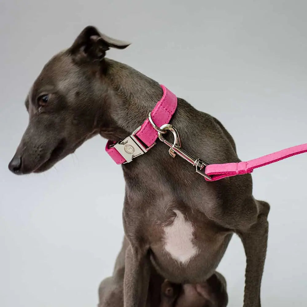 Das schicke Hundehalsband "Color Up" in pink entzückt mit seinem Süßigkeiten-Flair.