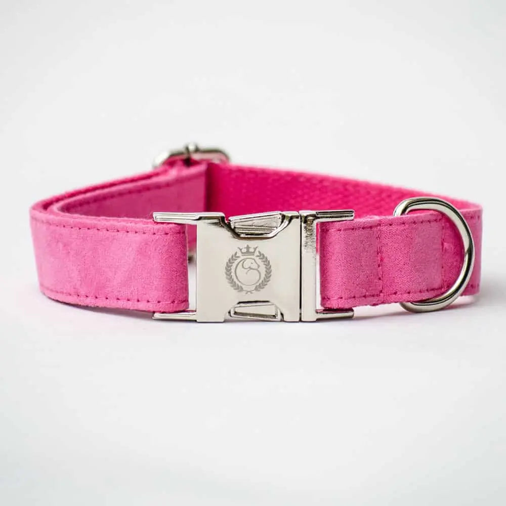 Das schicke Hundehalsband „Color Up“ - Pink 4legs.de