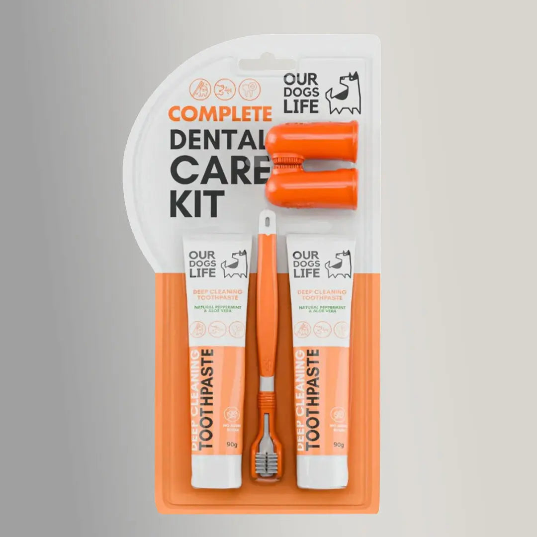 Dental Care Set 4legs.de