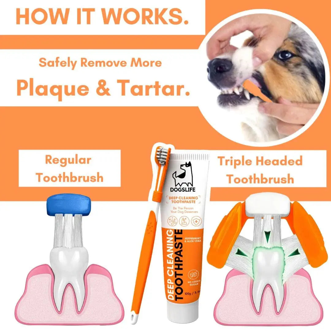 Dental Care Set 4legs.de