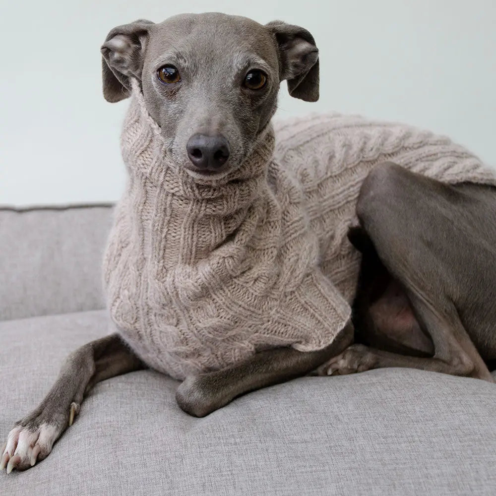 Der handgestrickte Pullover für Hunde aus 100% Kaschmir - beige 4legs.de