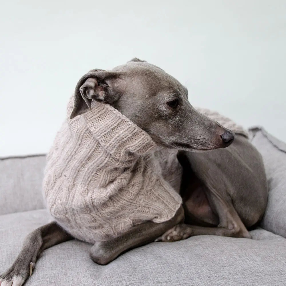 Der handgestrickte Pullover für Hunde aus 100% Kaschmir - beige 4legs.de