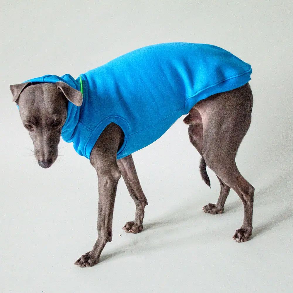 Dogsweater "COZY" - blue 4legs.de