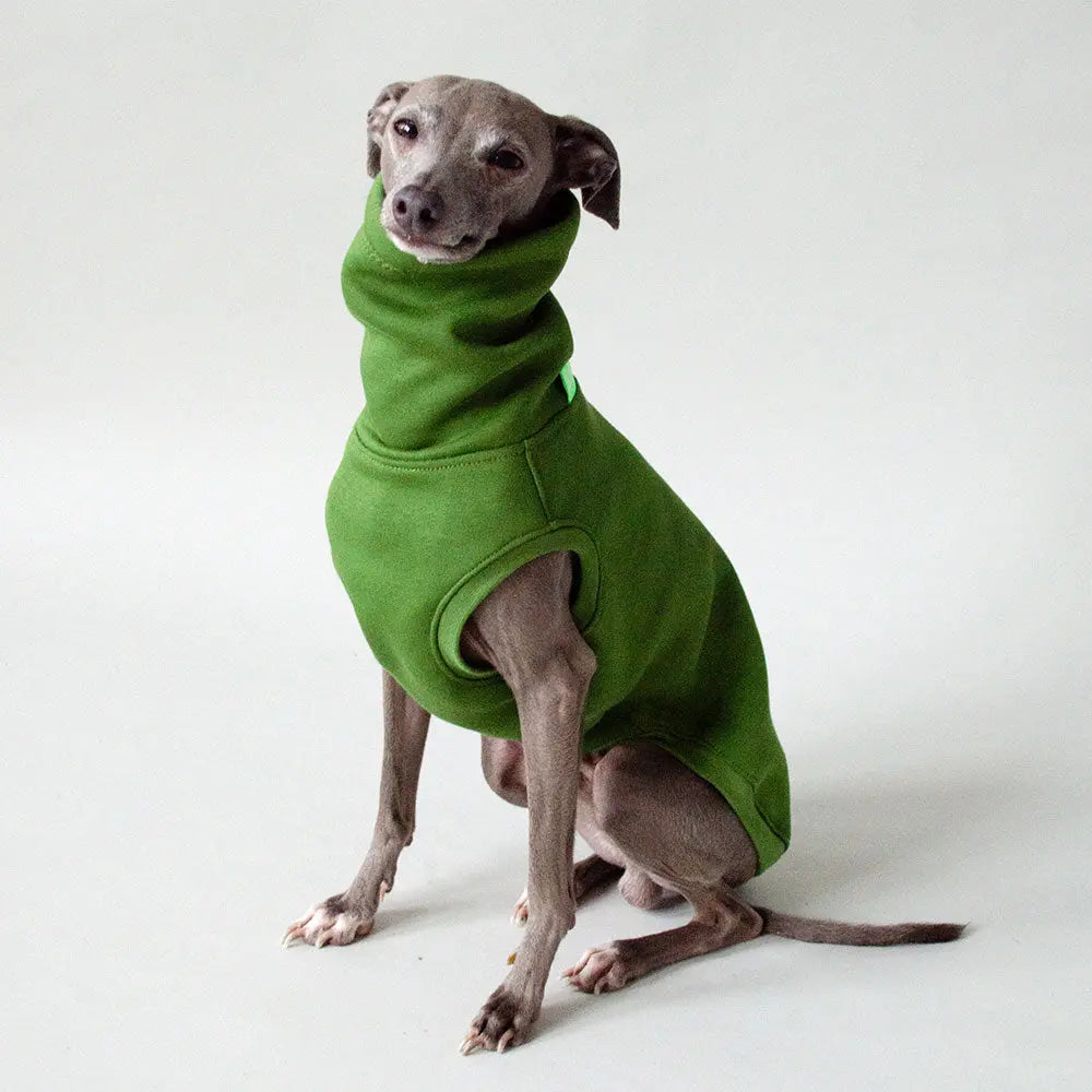 Dogsweater "COZY" - dark green 4legs.de