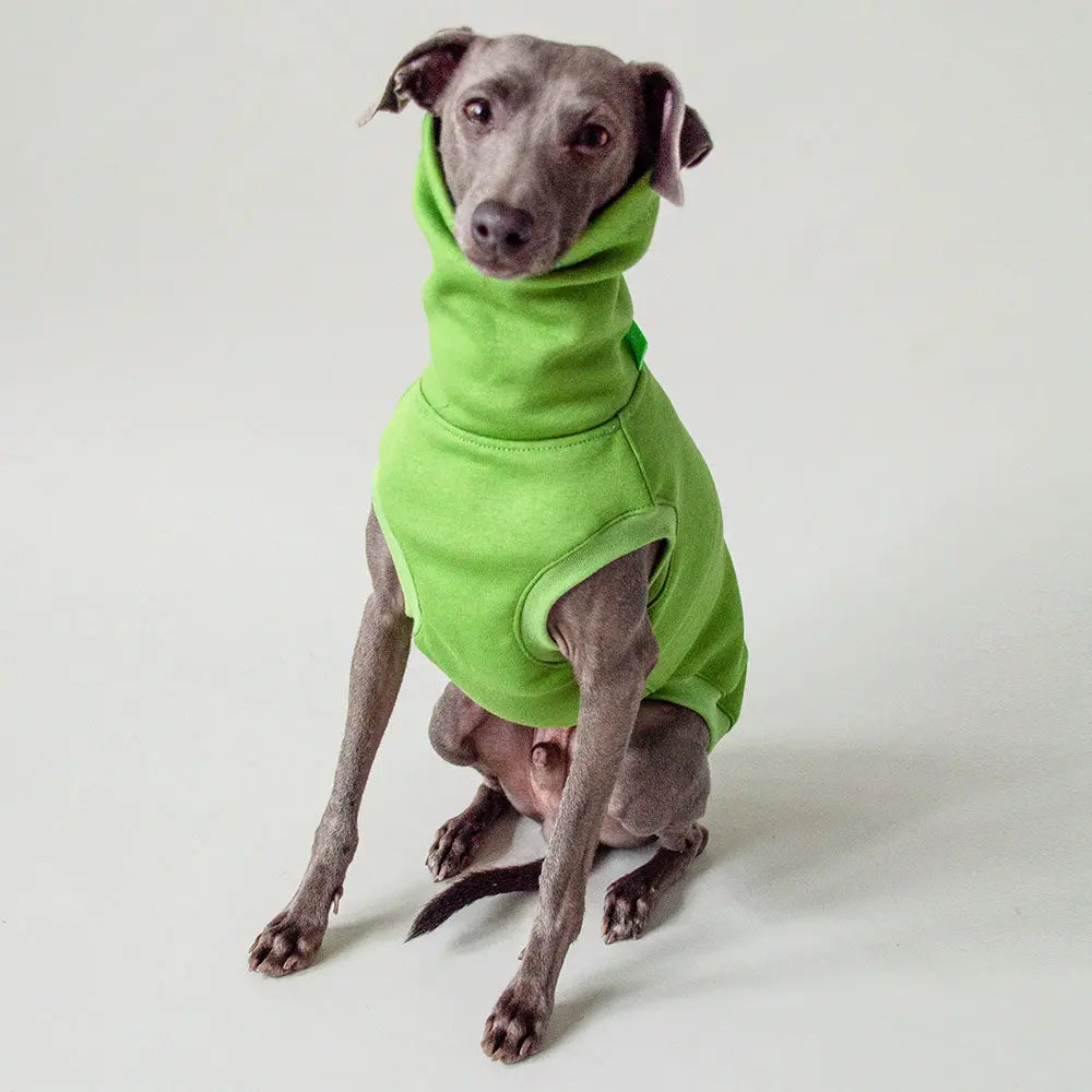 Dogsweater "COZY" - green 4legs.de