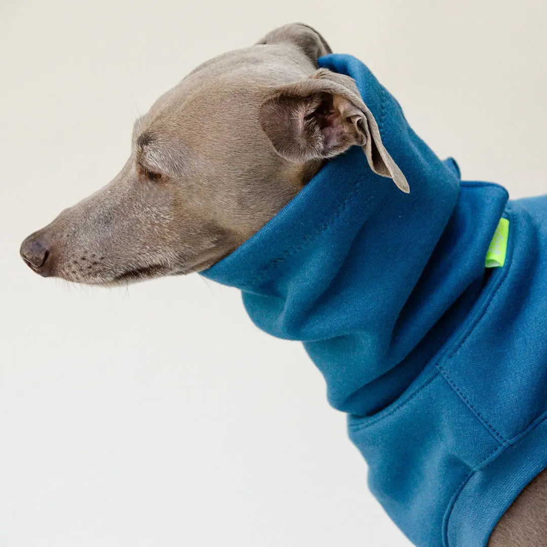 Dogsweater "COZY" - petrol 4legs.de