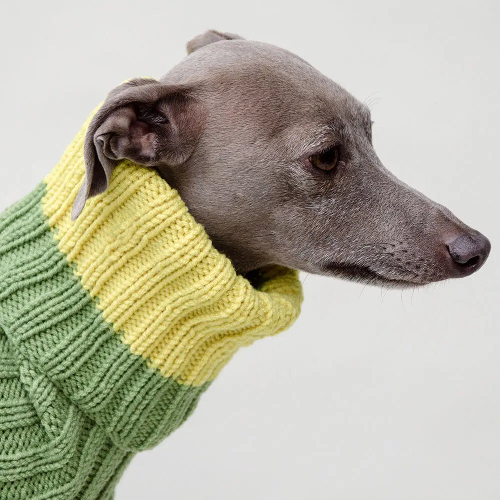 Ein handgestrickter Hundepullover green/lemon 4legs.de