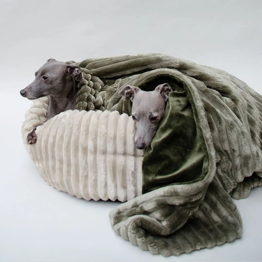 Elegantes Hundebett „Biscuit“ - creme 4legs.de