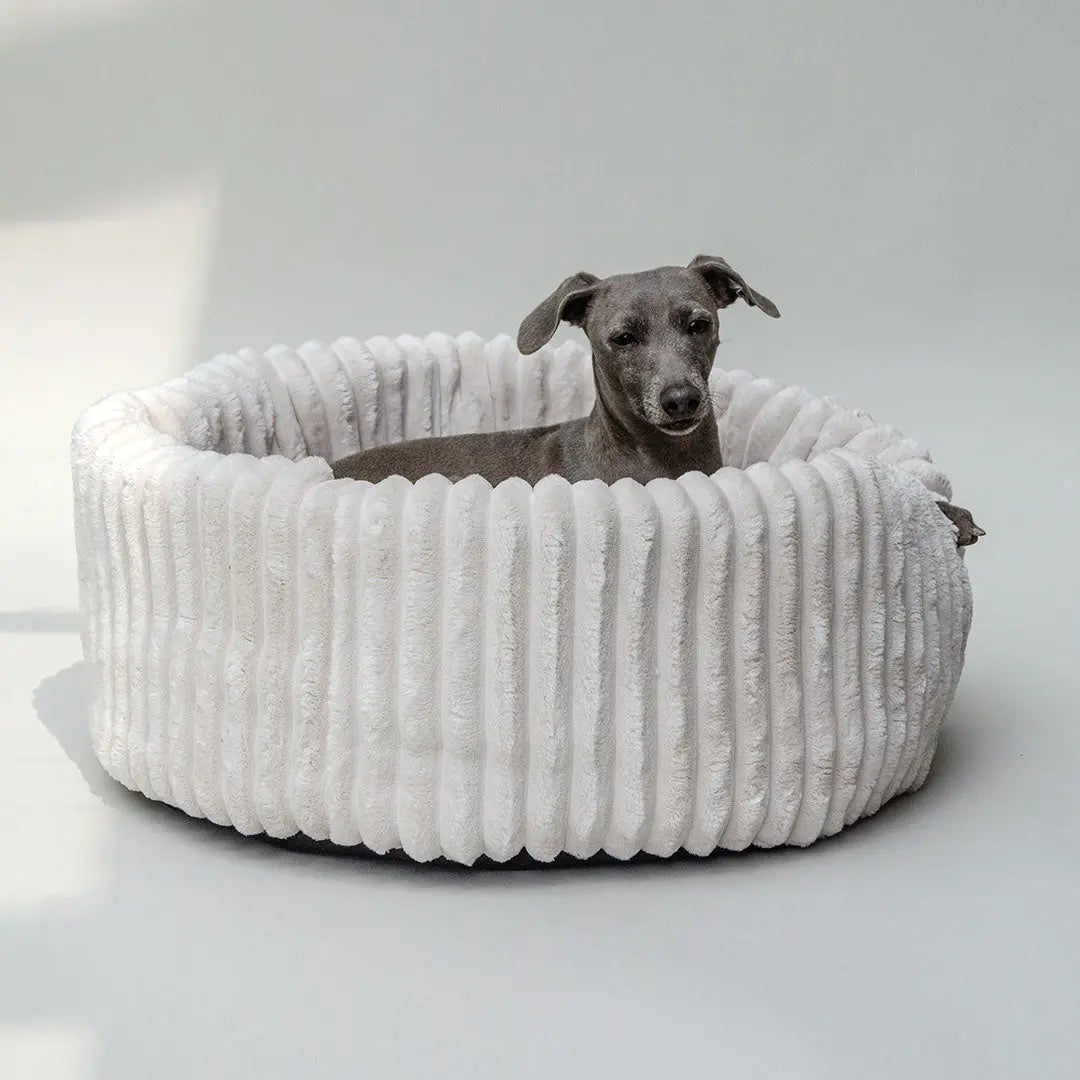 Elegantes Hundebett „Biscuit“ - creme 4legs.de