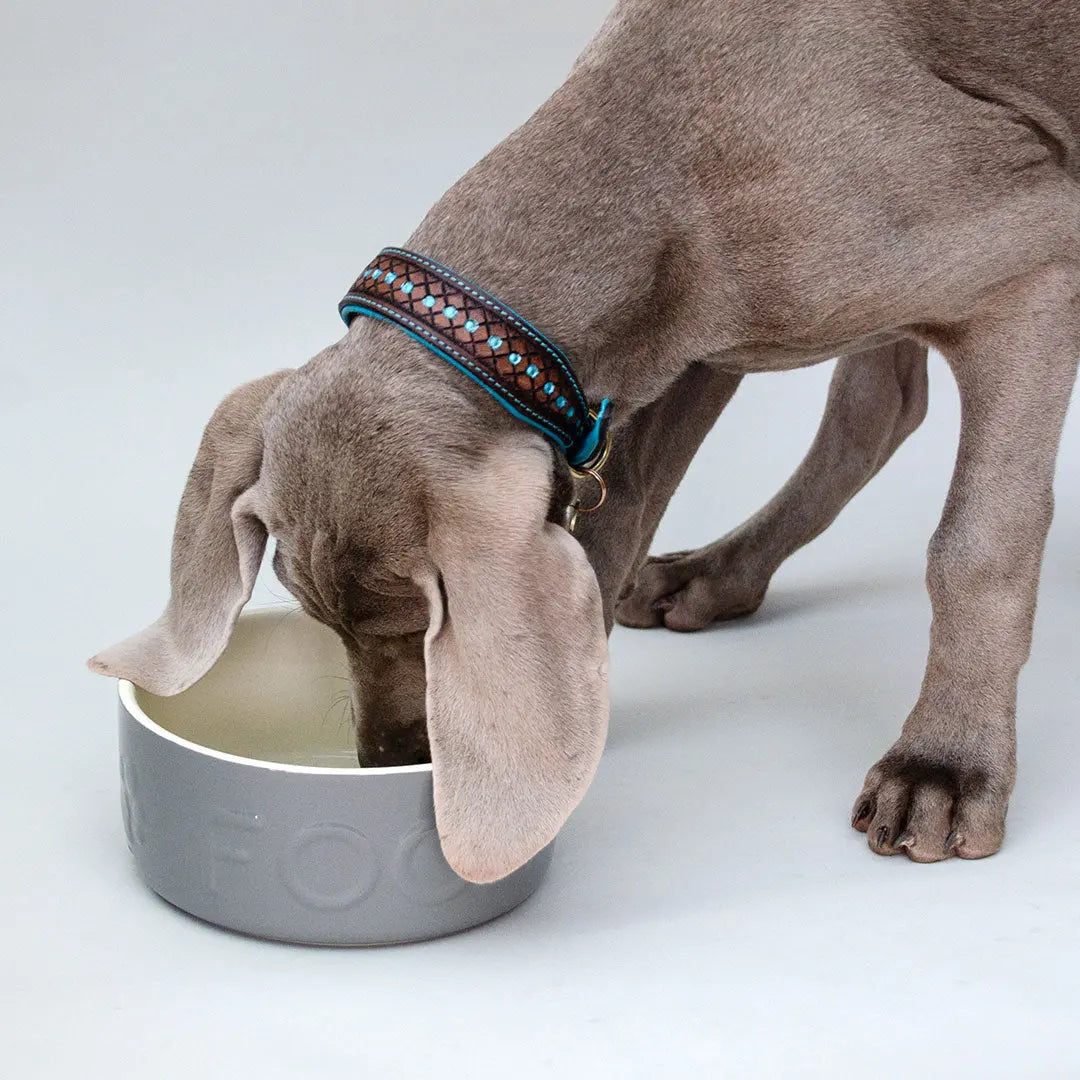 "Food" Bowl - Futternapf für Hunde 4legs.de