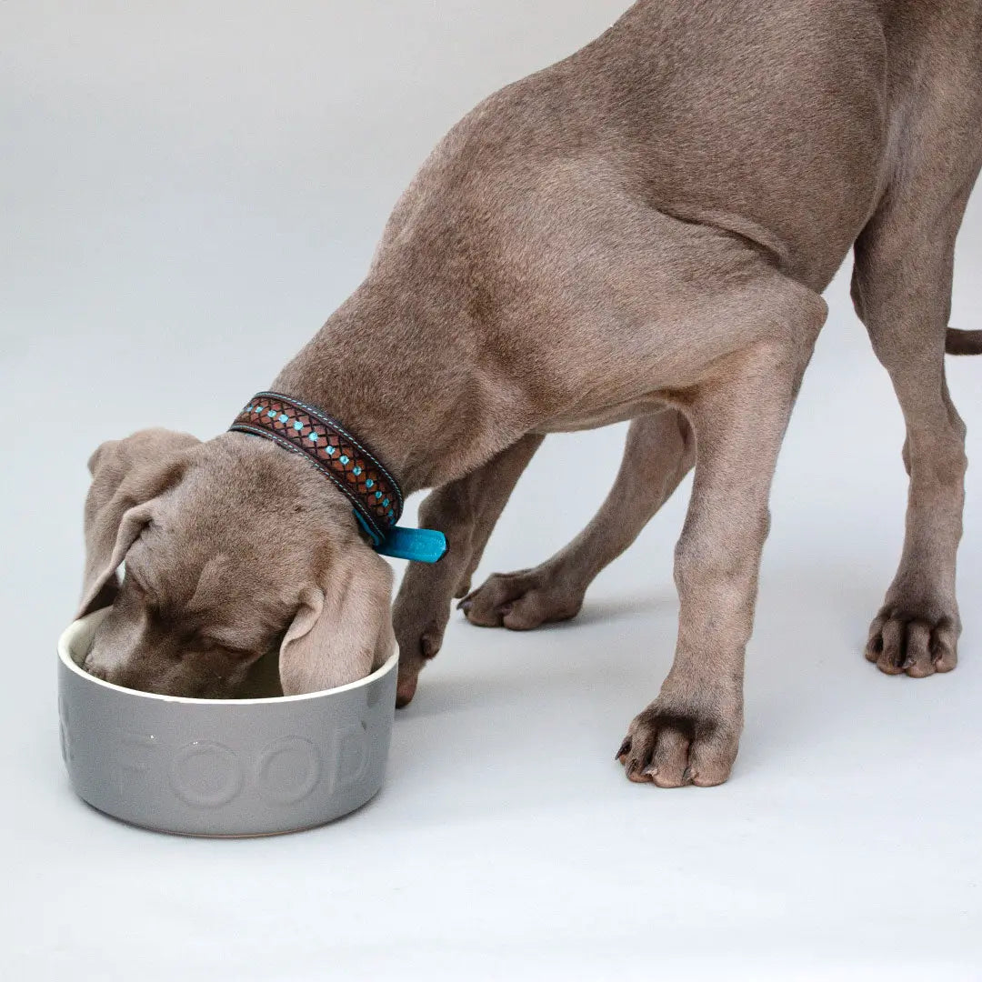 "Food" Bowl - Futternapf für Hunde 4legs.de