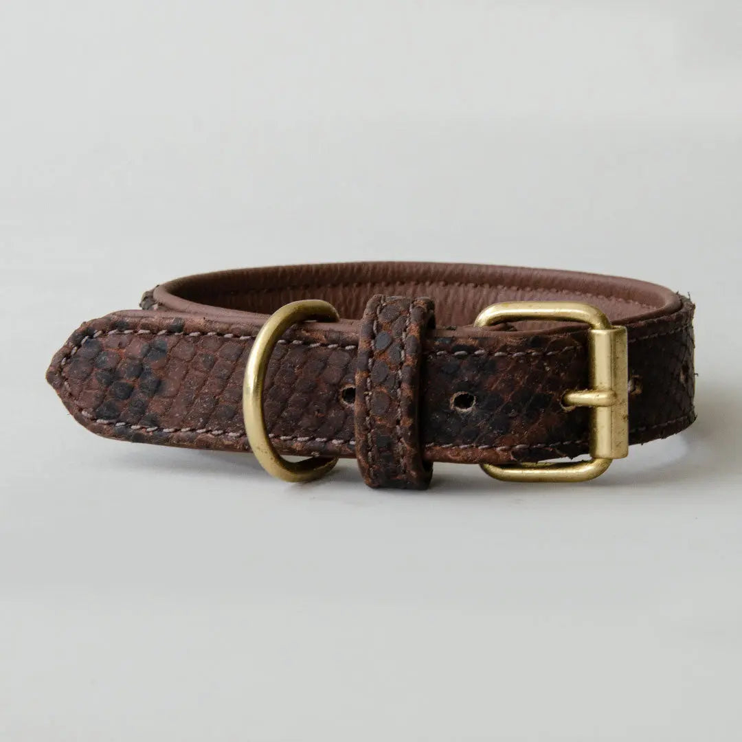 Gepolstertes Lederhalsband "Fake-Snake" DARK 4legs.de