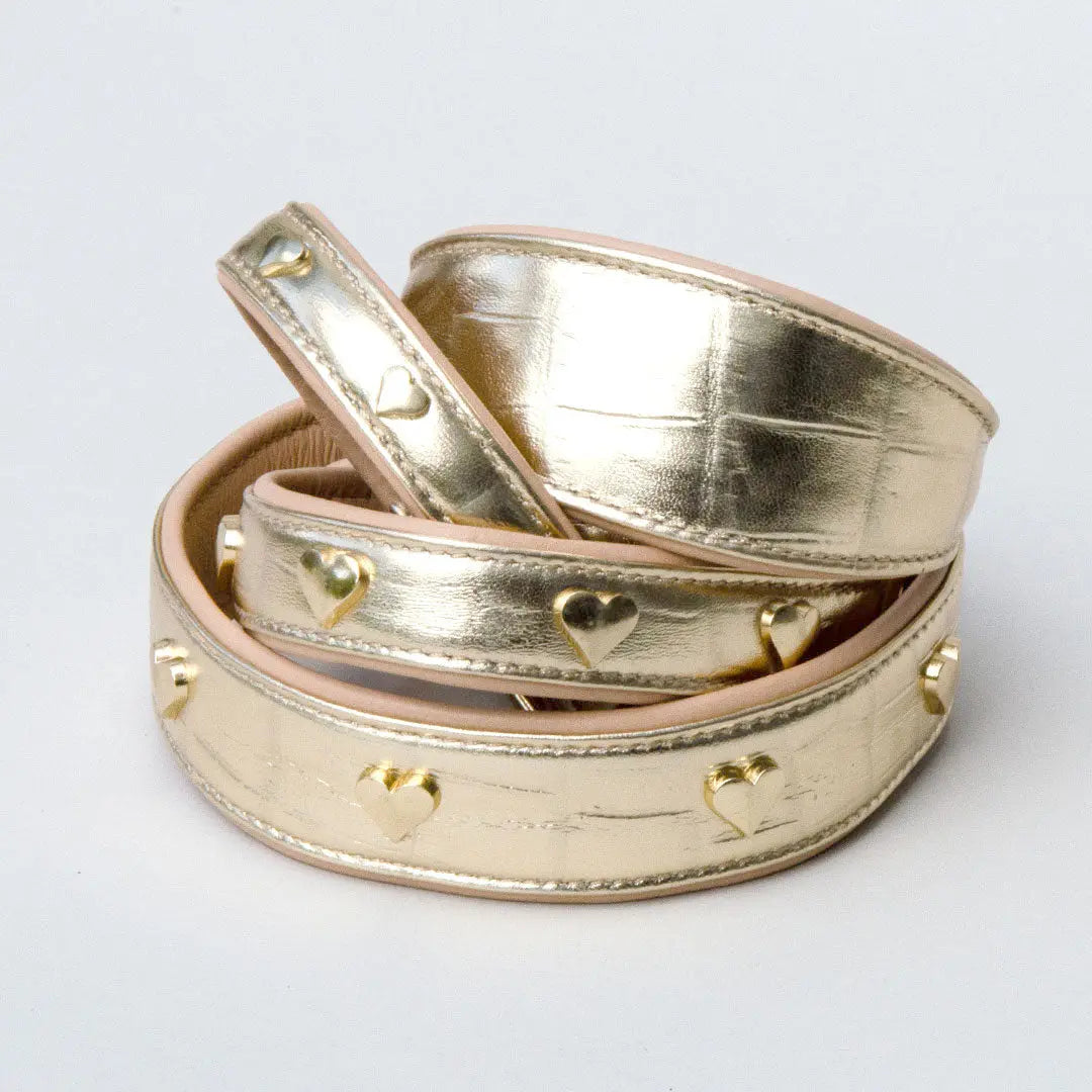 Gepolstertes Lederhalsband "Golden Glam" - Gold 4legs.de