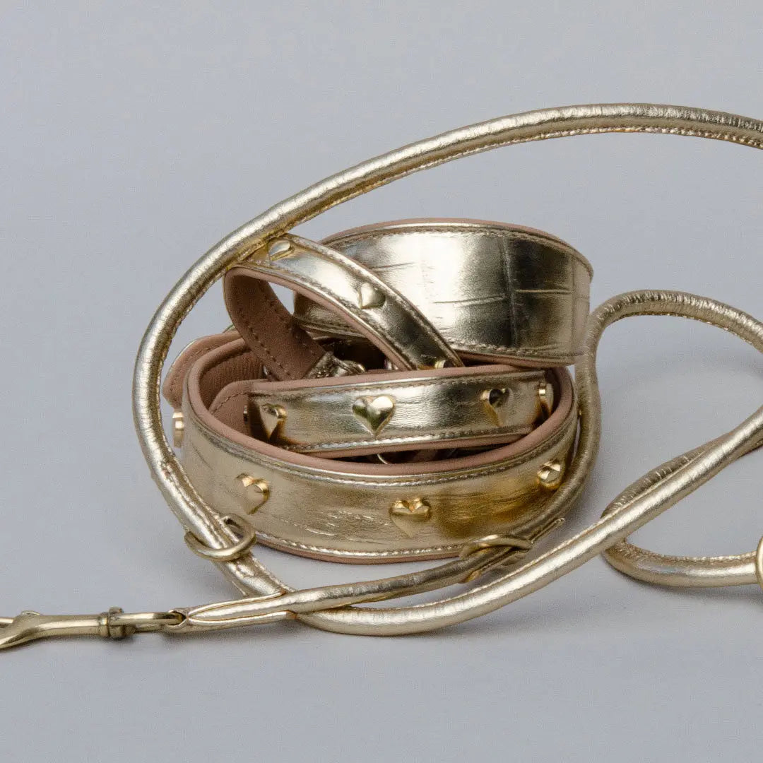 Gepolstertes Lederhalsband "Heart of Gold" - Gold 4legs.de