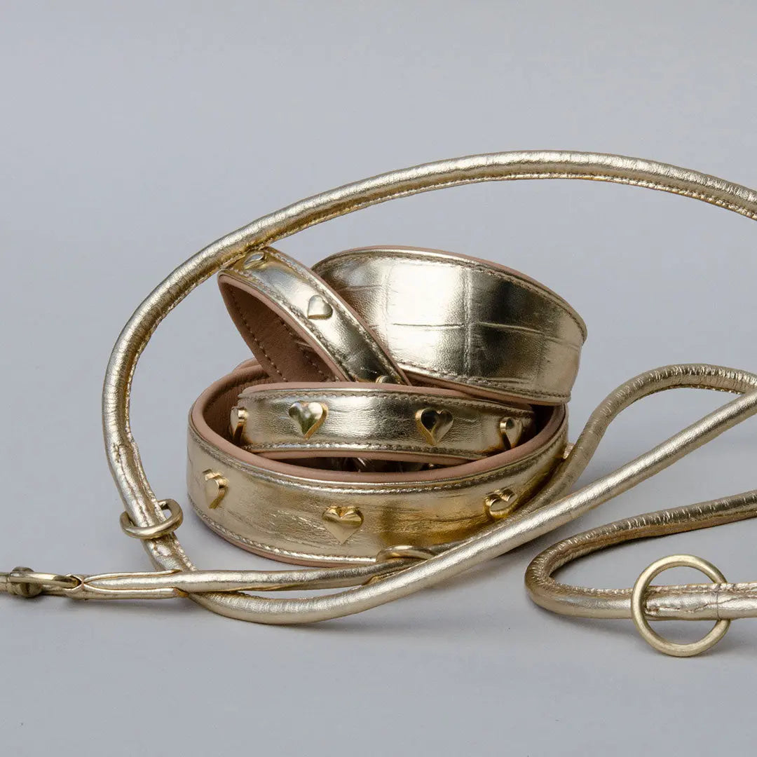 Gepolstertes Lederhalsband "Heart of Gold" - Gold 4legs.de