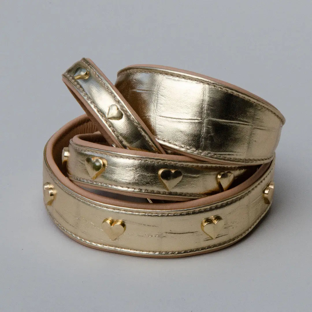 Gepolstertes Lederhalsband "Heart of Gold" - Gold 4legs.de