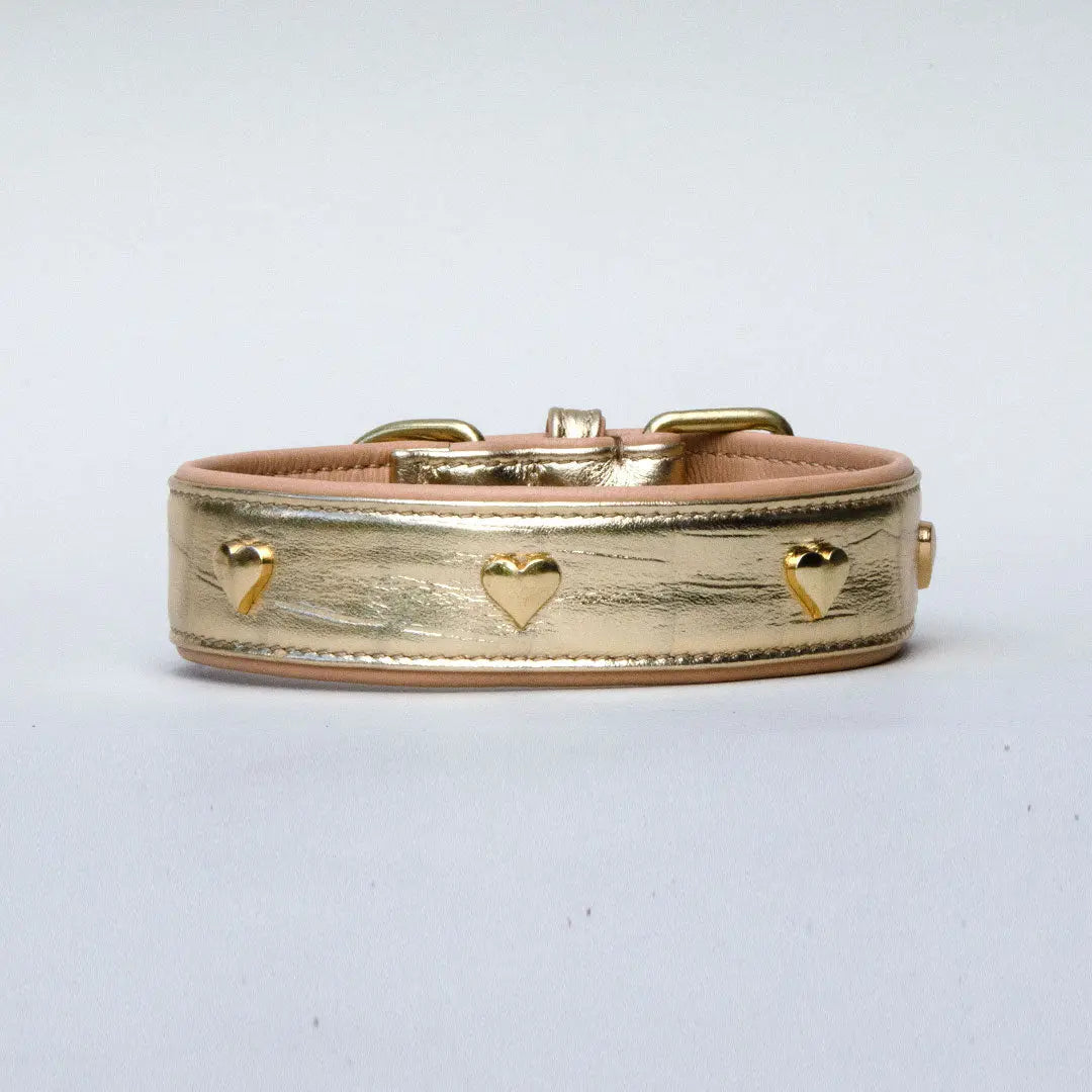 Gepolstertes Lederhalsband "Heart of Gold" - Gold 4legs.de