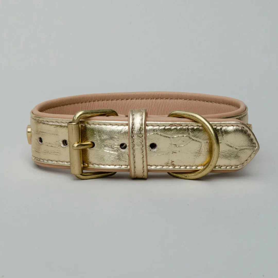 Gepolstertes Lederhalsband "Heart of Gold" - Gold 4legs.de