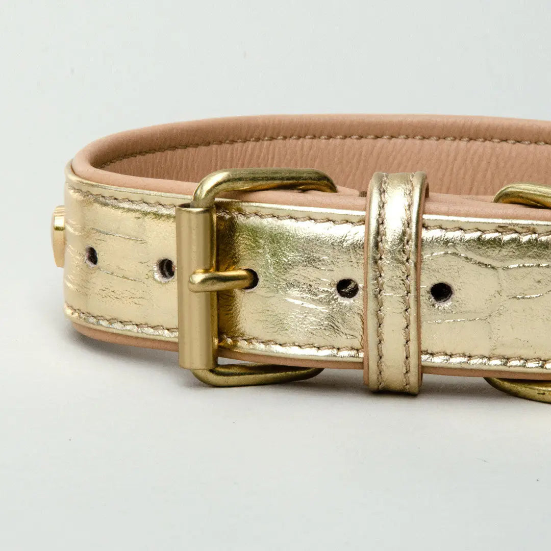 Gepolstertes Lederhalsband "Heart of Gold" - Gold 4legs.de