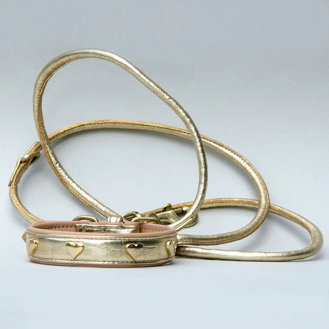 Gepolstertes Lederhalsband "Heart of Gold" - Gold 4legs.de