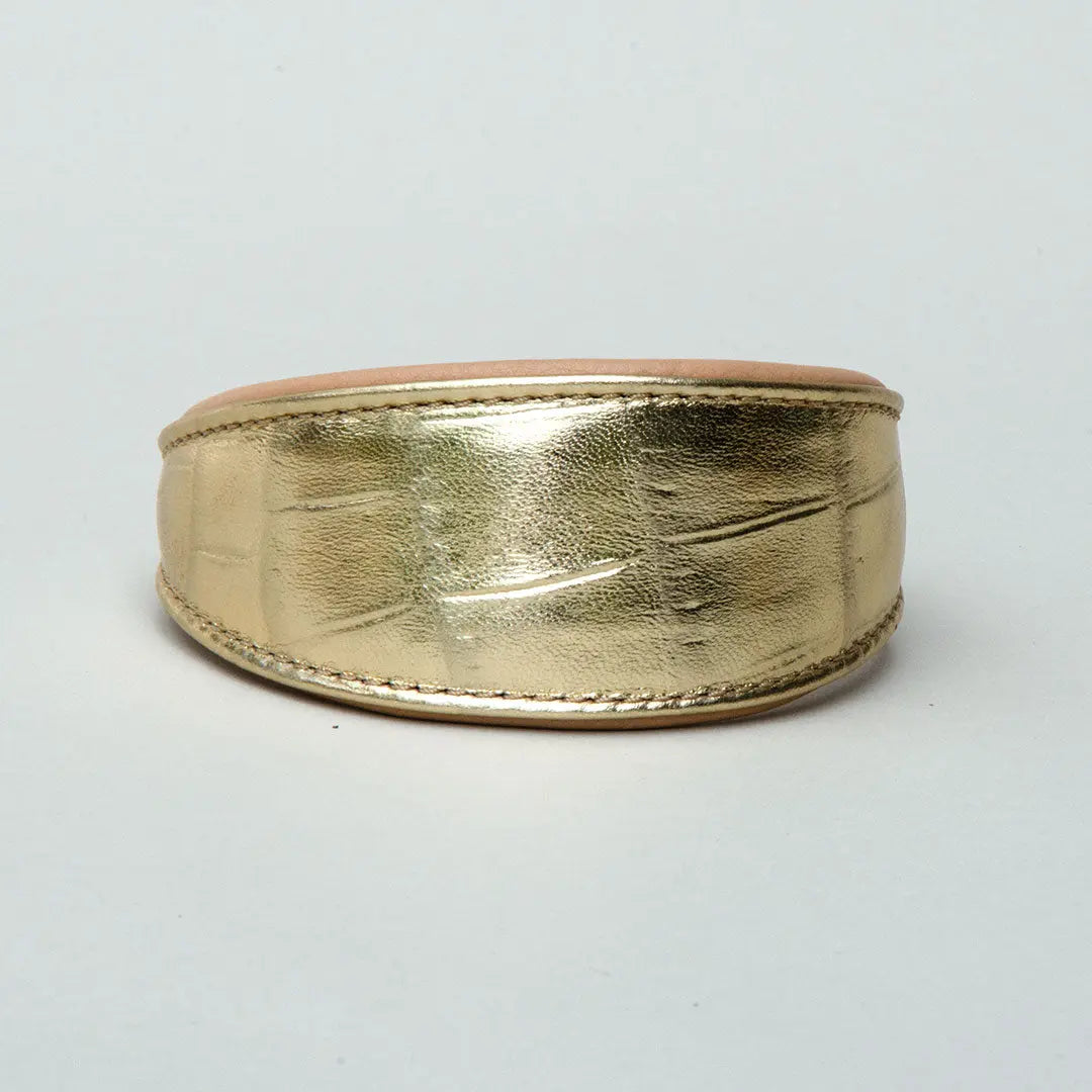 Gepolstertes Windhund-Halsband "Golden Glam" 4legs.de