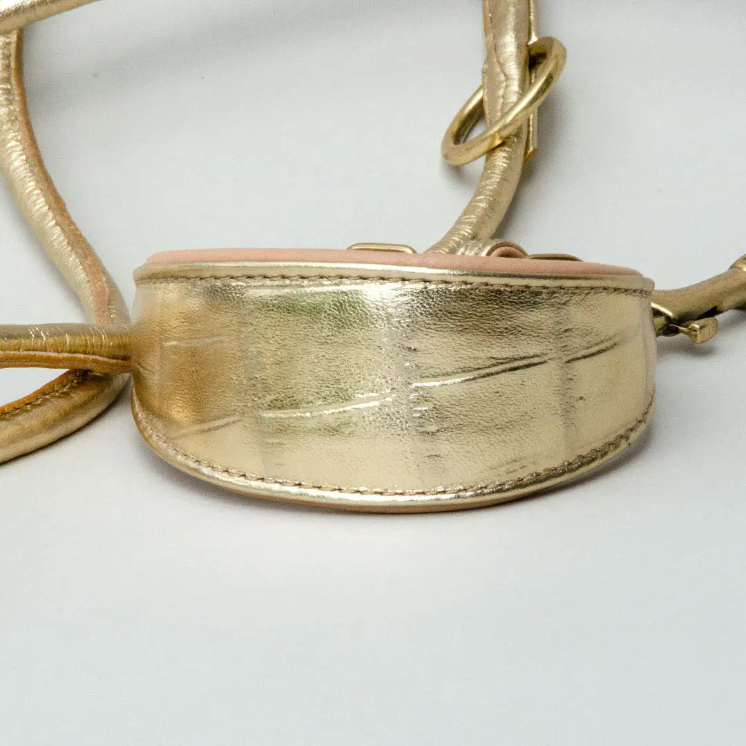 Gepolstertes Windhund-Halsband "Golden Glam" 4legs.de