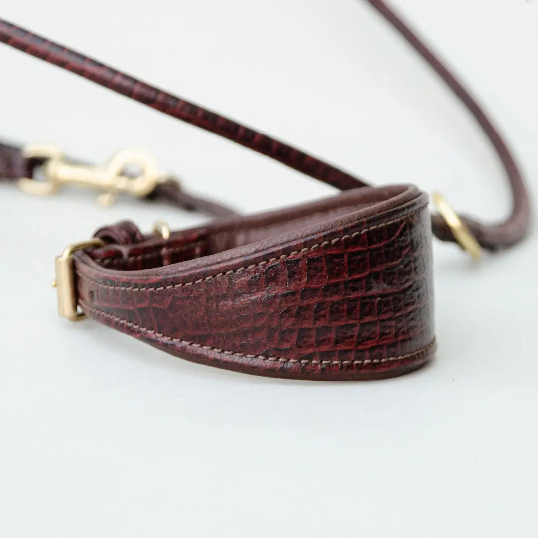 Gepolstertes Windhund-Halsband "Greyhound-Croco" 4legs.de