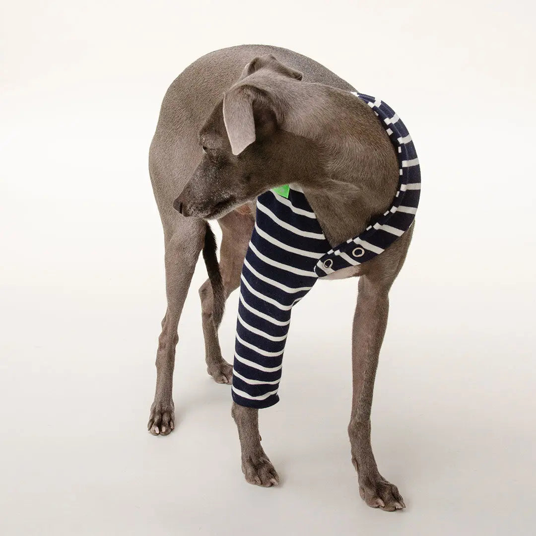 Hosenbein "One-Leg-Bandage" 4legs.de