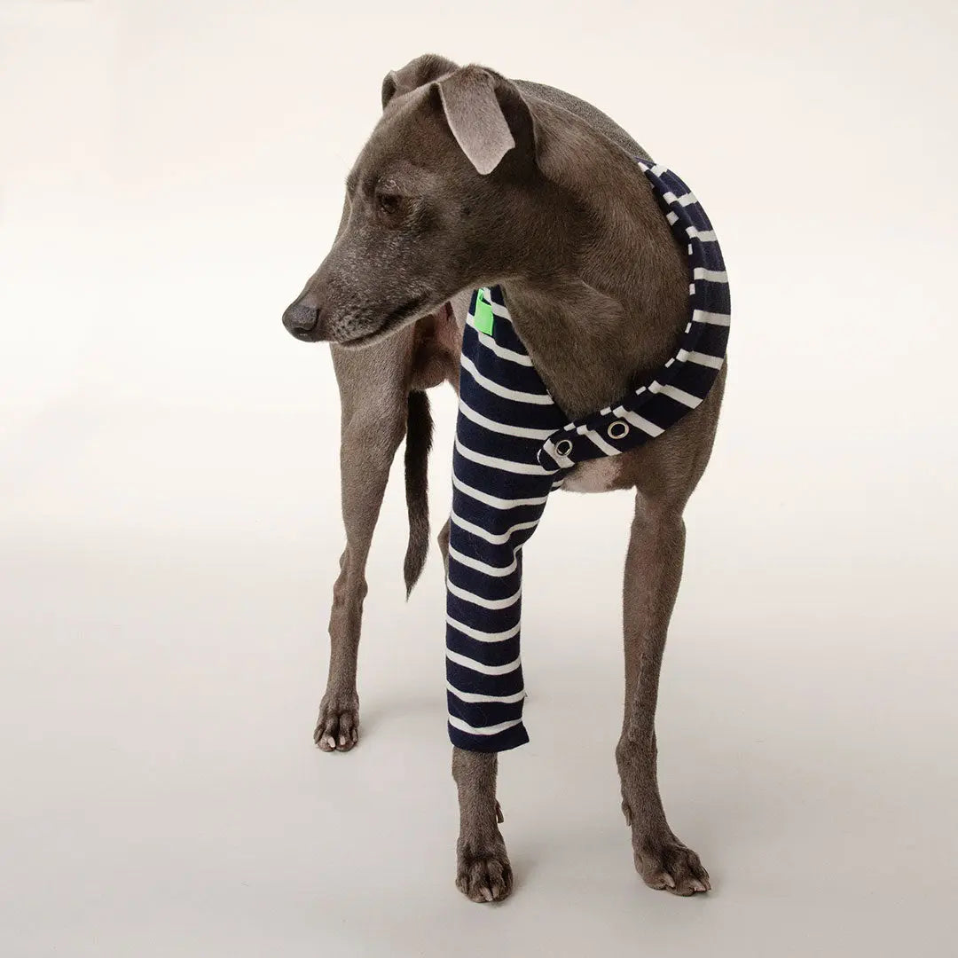 Hosenbein "One-Leg-Bandage" 4legs.de