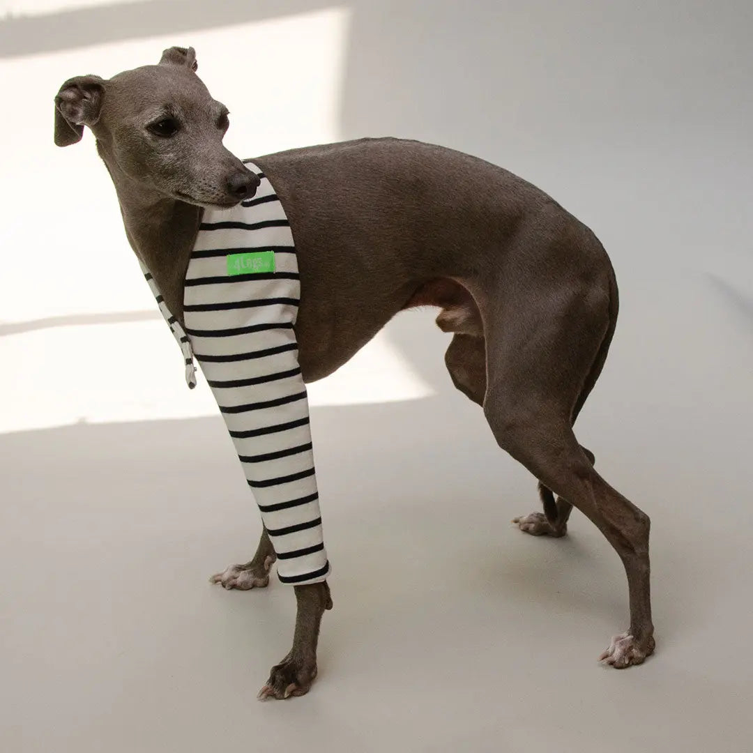 Hosenbein "One-Leg-Bandage" 4legs.de