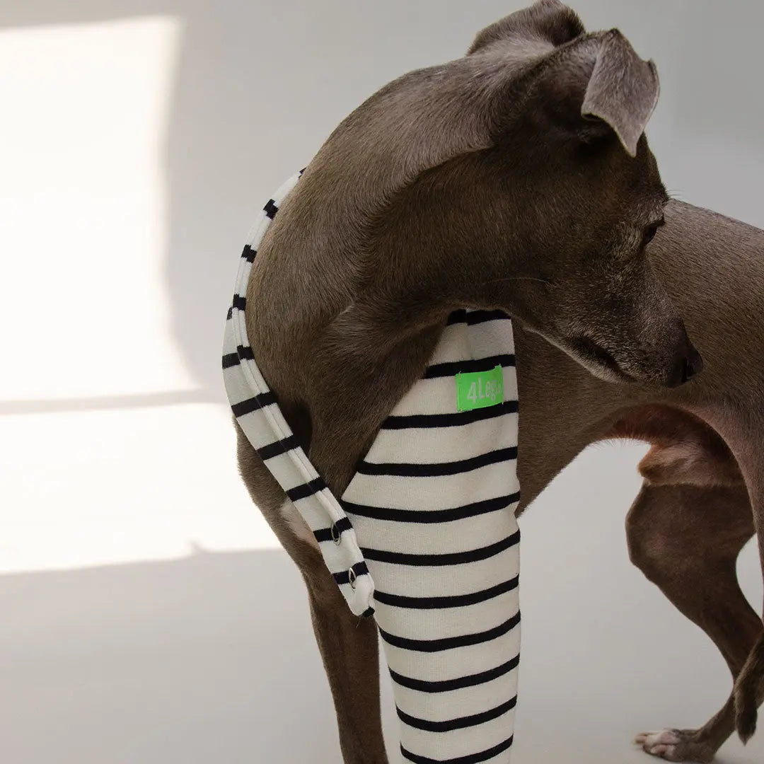 Hosenbein "One-Leg-Bandage" 4legs.de