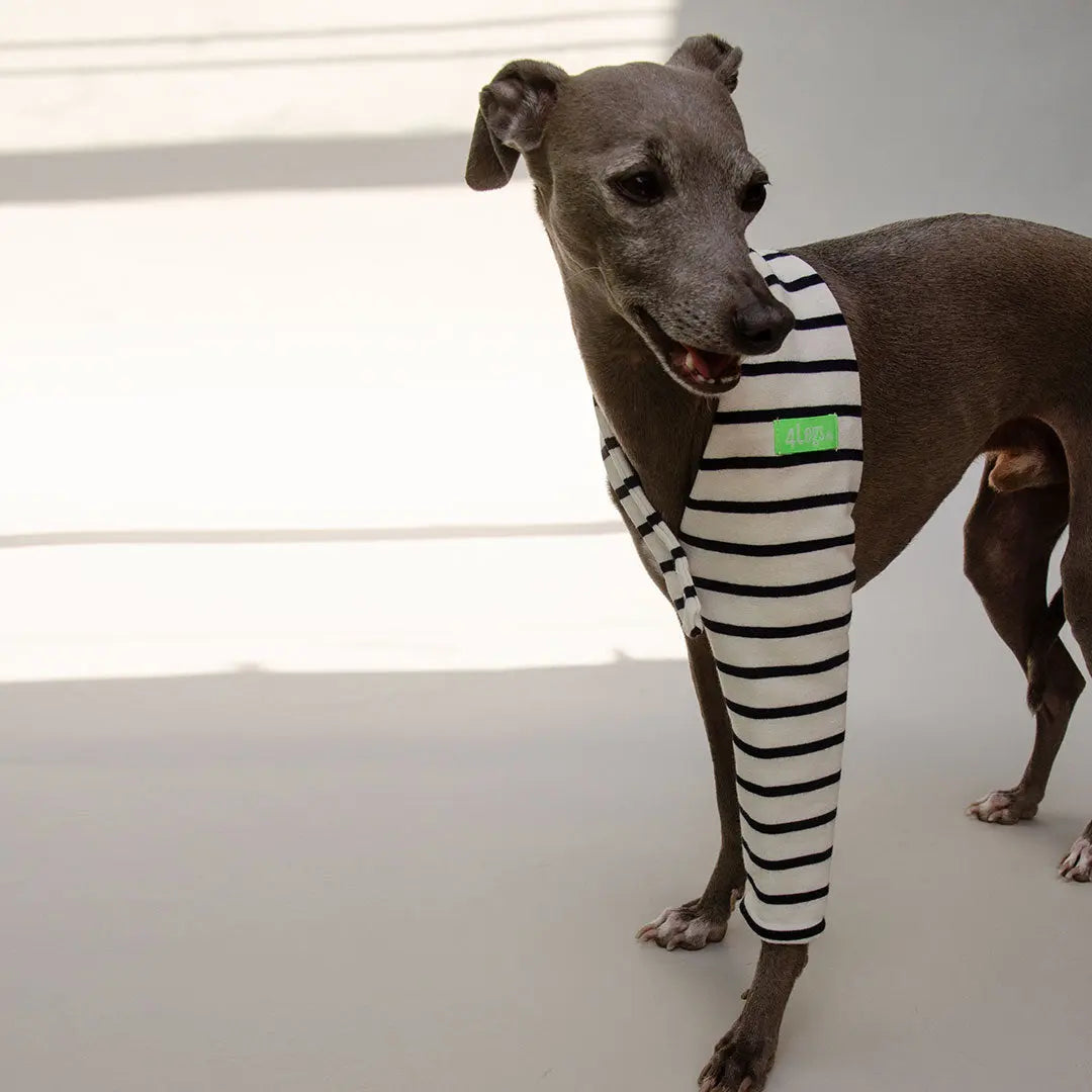 Hosenbein "One-Leg-Bandage" 4legs.de