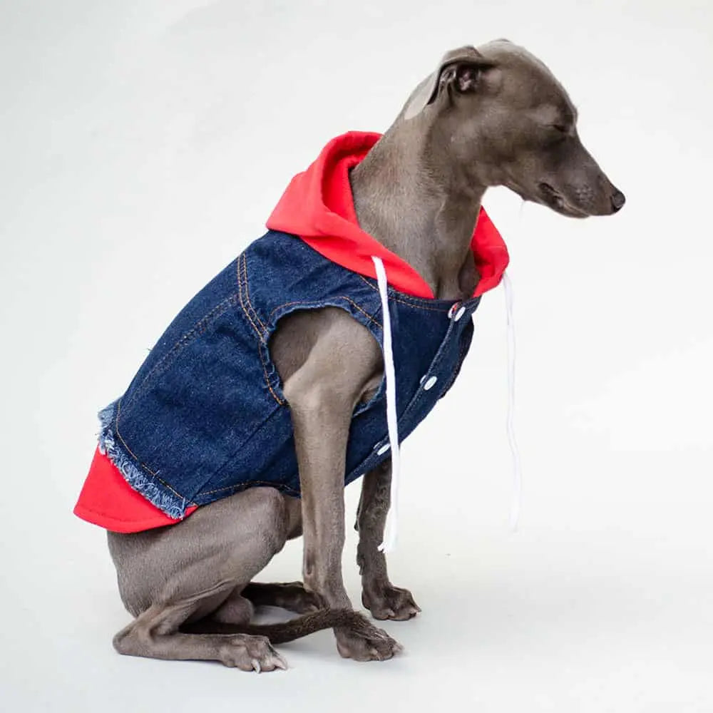 Hunde Jeansjacke mit Sweatshirt Details "Jeans-Hoodie red" 4legs.de