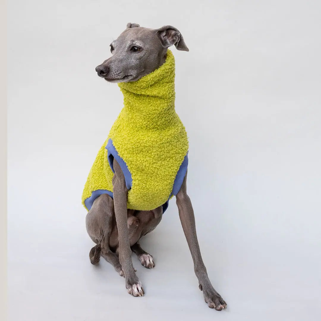 Hunde-Pulli "Glow" Kiwi 4legs.de