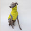 Hunde-Pulli 