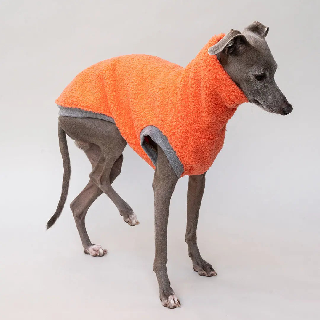 Hunde-Pulli "Glow" Melone 4legs.de