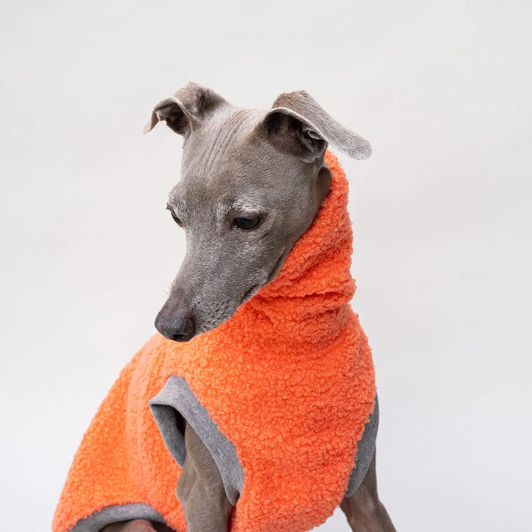 Hunde-Pulli "Glow" Melone 4legs.de