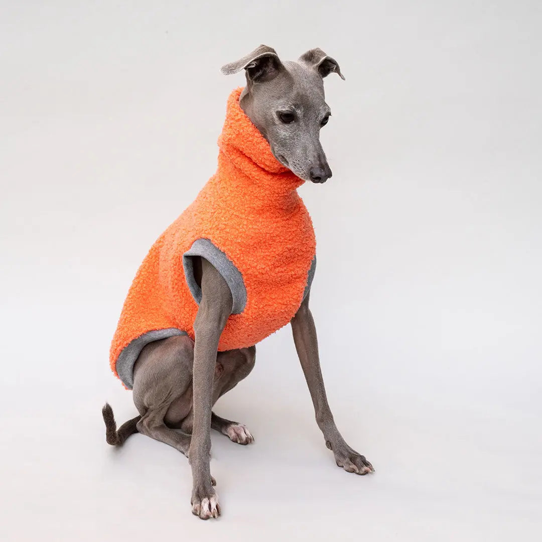 Hunde-Pulli "Glow" Melone 4legs.de